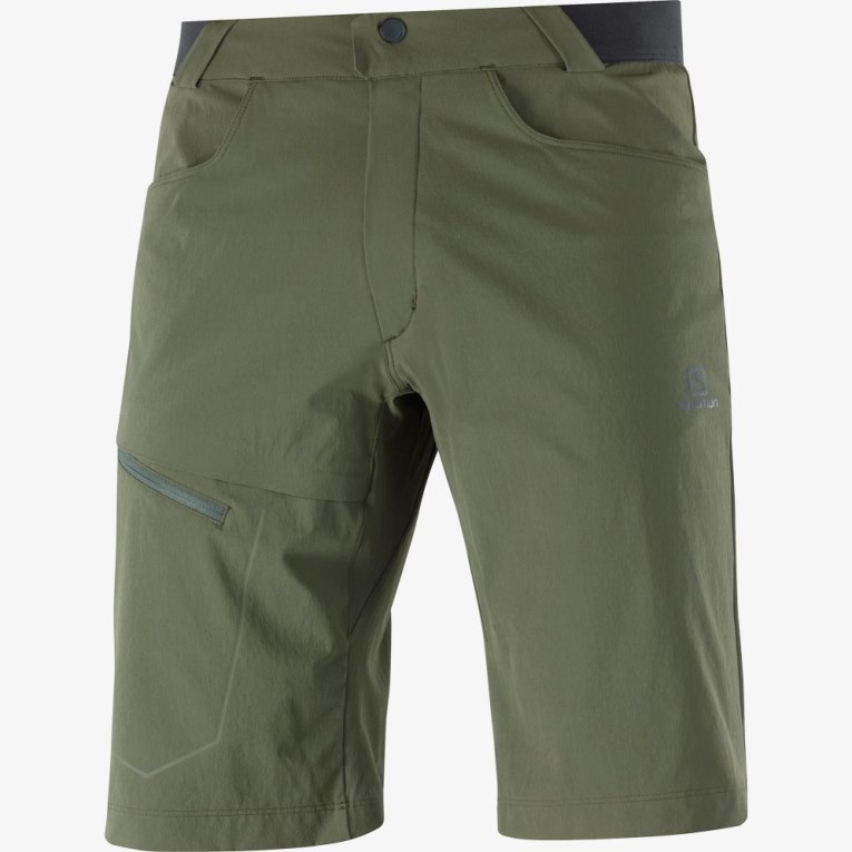 Calções Salomon Wayfarer Masculino Verde Oliva | PT O26089